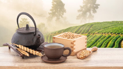 Wheat or Triticum aestivum wheat kernel and tea on wood table nature background.