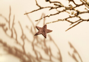 Top view of gold shiny leaves and shadows on sand color background with golden star. Flat lay. Minimal creative concept