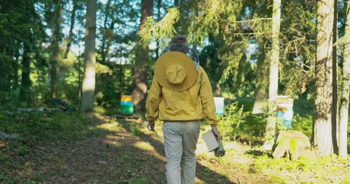 Beekeeper heads toward hives holding paraphernalia in hand, trudges through forest to apiary of bees, gets to work