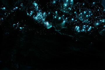 Glow worms in the Okupata cave, New Zealand