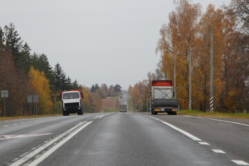 Fototapeta na wymiar Trucks drive on asphalted road on yellow birch trees background at autumn day, European suburbah highway landscape