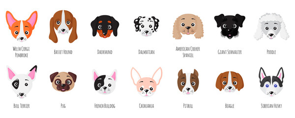 Set of little puppy dogs face of different breeds.