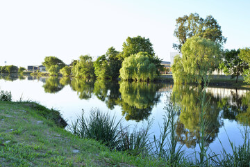 Fototapeta na wymiar Pesca rio Paraná , Buenos Aires , Argentina