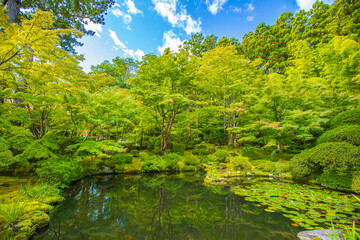 宮城県　日本三景松島・円通院　