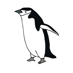 Vector hand drawn doodle sketch colored penguin isolated on white background