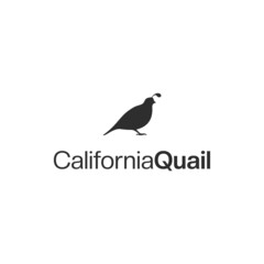 california quail logo vector design. logo template - obrazy, fototapety, plakaty
