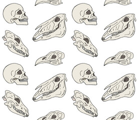 Vector seamless pattern of hand drawn doodle sketch colored animal and human skull isolated on white background