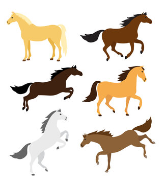 Vector set of different color flat cartoon horse poses isolated on white background