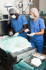 Veterinarian surgeons in operating room at animal hospital. High quality photo