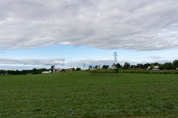 Fototapeta na wymiar View of agricultural field on a cloudy day. Landscape of green corn crops