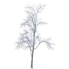 Winter tree in the snow isolated on white background 3d illustration