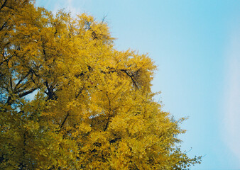 Little adventures around hometown, exploring, hiking and also climbing