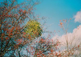 Little adventures around hometown, exploring, hiking and also climbing