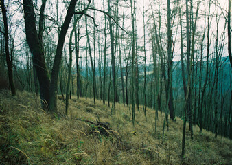 Obraz premium Little adventures around hometown, exploring, hiking and also climbing