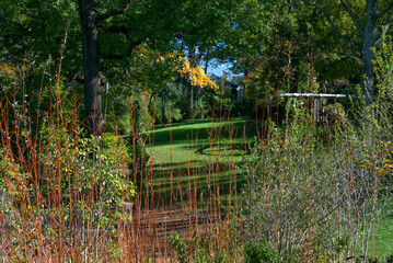 Fall Landscape