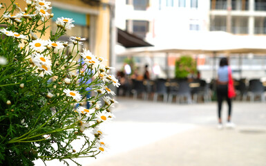 Obraz premium Summer in the city, blooming flowers in a street with bars, selective focus on the flowers.