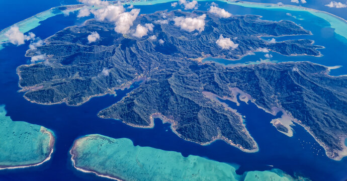 Taha comme un tr&egrave;fle 