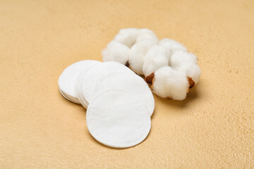 Clean cotton pads and flowers on color background