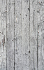 Natural background from old wooden boards, selective focus, copy space