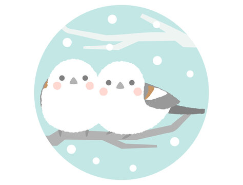 979 Best シマエナガ Images Stock Photos Vectors Adobe Stock