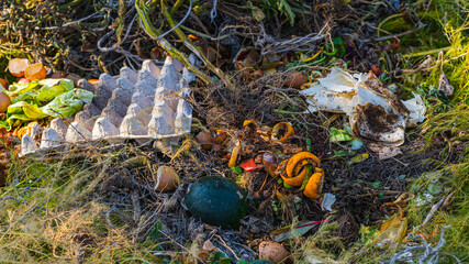 Obraz premium Organic food waste fertilizer for the vegetable garden