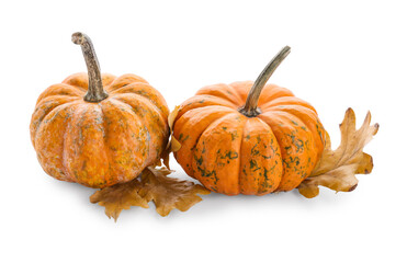 Fresh pumpkins isolated on white background