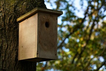 Birdhouse on a tree. Wooden house with hole for bird to lay a nest. For in the spring when the eggs are laid.