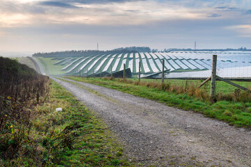 Country lane running past solar park,Hampshire,United Kingdom.