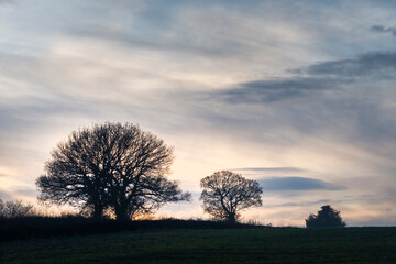 Fototapeta na wymiar Winter Sunset,English countryside,across green fields,Hampshire,United Kingdom.