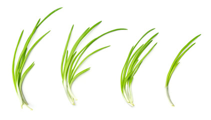 Collection of young green onion isolated on white background