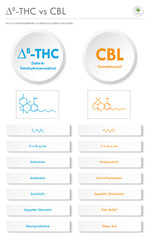 ∆8-THC vs CBL, Delta 8 Tetrahydrocannabinol vs Cannabicyclol vertical business infographic
