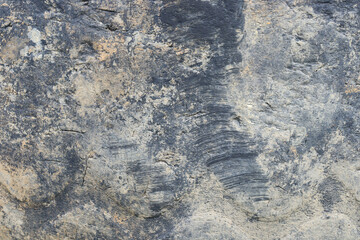 Muddy rubber tire that has taken on the properties of an aged concrete texture.