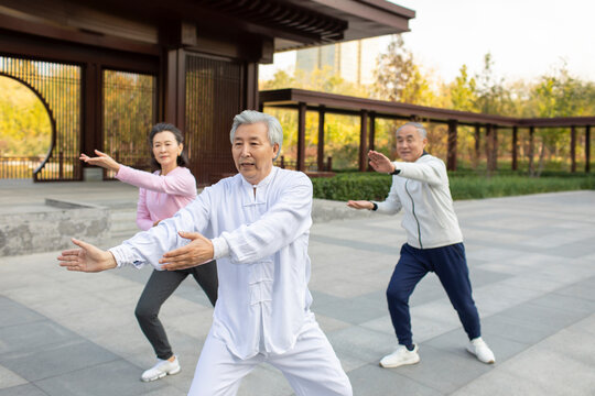 Cheerful senior Chinese adult practicing Tai Chi in the park