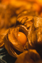 Fresh Gooseberries displaying in the farms market