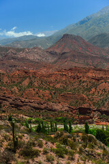 The rugged landscape of the Sierra de Famatina mountain range from the scenic Cuesta de Miranda...