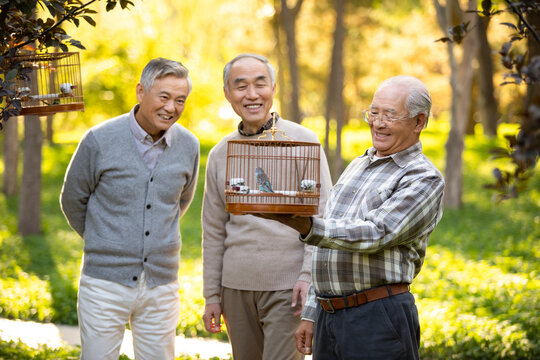 Cheerful senior men relaxing in the park