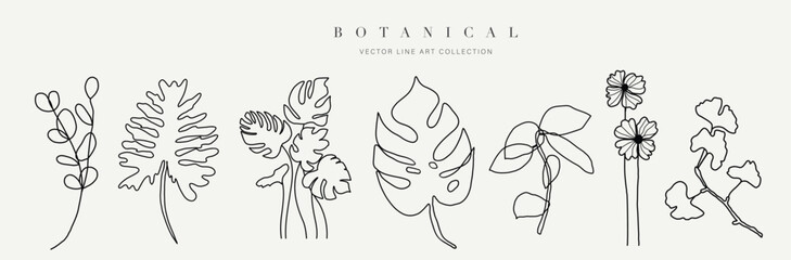 Botanical arts. Hand drawn continuous line drawing of abstract flower, floral, ginkgo, rose, tulip, bouquet of olives. Vector illustration.