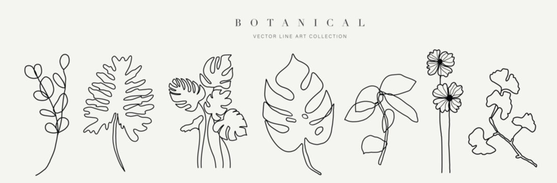 Botanical Arts. Hand Drawn Continuous Line Drawing Of Abstract Flower, Floral, Ginkgo, Rose, Tulip, Bouquet Of Olives. Vector Illustration.