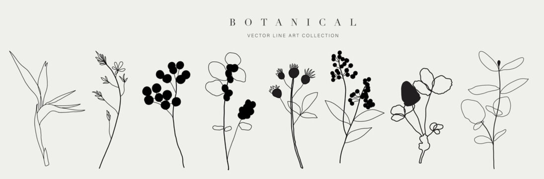 Botanical Arts. Hand Drawn Continuous Line Drawing Of Abstract Flower, Floral, Bird Of Paradise, Herb, Tulip, Bouquet Of Olives. Vector Illustration.