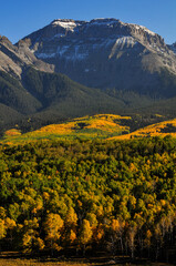 Late afternoon light on fall colors up the slopes of Whitehouse Mountain on the Sneffels Range of the San Juan mountains, as seen from a country road near Ridgway, Colorado, USA