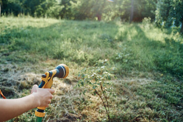 woman watering tree in garden countryside summer agriculture