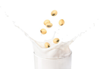 Soy milk splash isolated on white background.