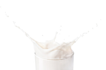 Milk splash isolated on white