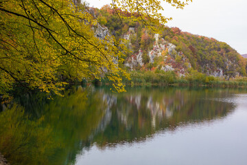 autumn in the forest