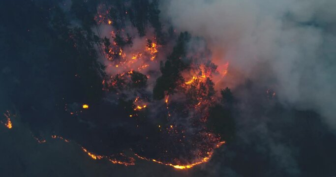 Forest fire. The forest is on fire. Irkutsk region. Extraordinary incident. Drone shooting