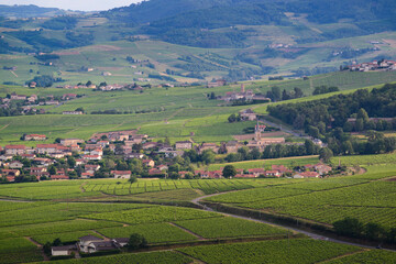 Odenas village with vineyards landscape, Beaujolais