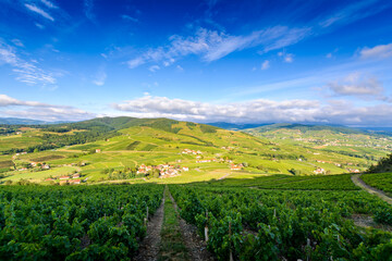 Fototapeta na wymiar Paysages du Beaujolais autour du Mont Brouilly, France
