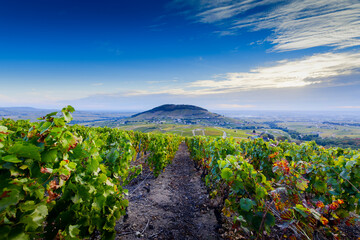 Vue sur le Mont Brouilly et les vignes du Beaujolais, France