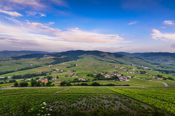 Paysage de vignes du Beaujolais, France