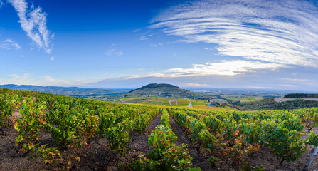 Vue sur le Mont Brouilly et les vignes du Beaujolais, France